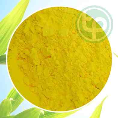 Bột nghệ nguyên chất tại Tấn phát